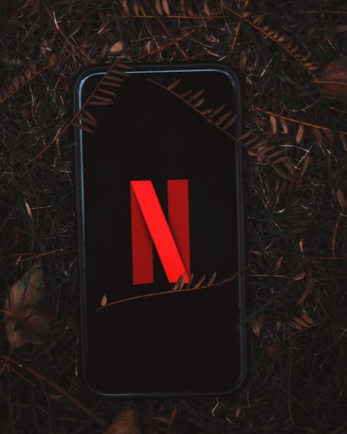 Netflix UFriends